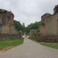 trier (18).JPG