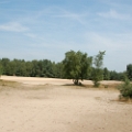 dehooge heide (3).JPG