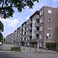 Boschveld (2).JPG