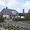 Boschveld (6).JPG