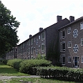 Boschveld (7).JPG