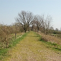 De Moerputten (19).JPG