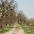 De Moerputten (2).JPG