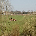 De Moerputten (20).JPG