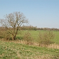 De Moerputten (3).JPG