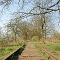 De Moerputten (8).JPG