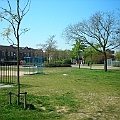 Abdijenbuurt (14).JPG