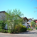 Maasstroom (10).JPG