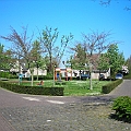 Maasstroom (13).JPG