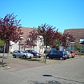 Maasstroom (8).JPG