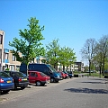 Staatsliedenbuurt (4).JPG