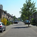 Het Zilverpark (2).JPG