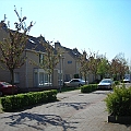 Het Zilverpark (4).JPG