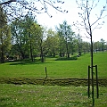 Het Zilverpark (9).JPG