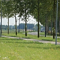 Bedrijventerrein Treurenburg (2).JPG