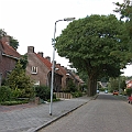 Maliskamp oost (2).JPG