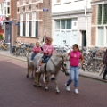 kermisdenbosch2008 068.JPG